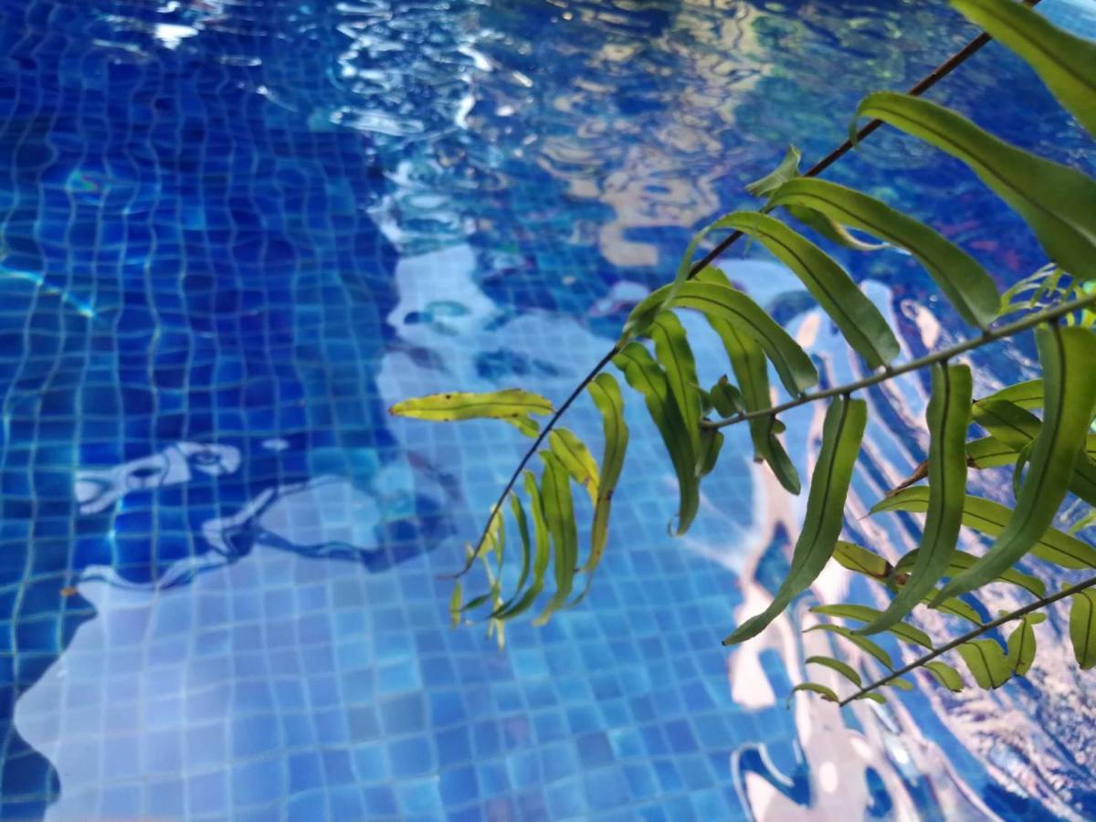 צ'יאנג מאי Lanna Boutique Resort מראה חיצוני תמונה